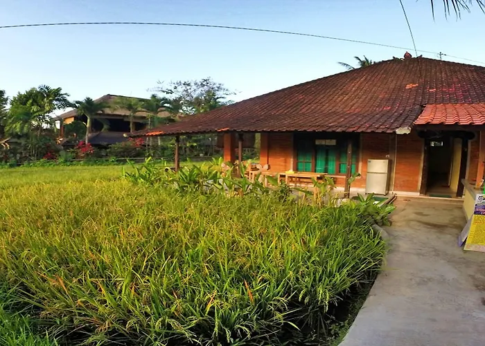 Keladi House * Ubud